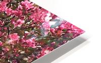 Flowering Tree HD Metal print