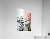 Breakfast on a windowsill Acrylic Print