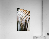Beige dresses Acrylic Print