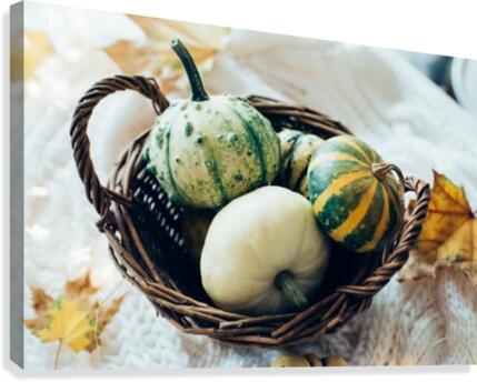 Three pumpkins in a basket Canvas Print