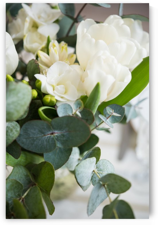 White flowers by Daria Minaeva