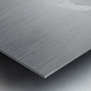 The White Metal print