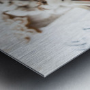 Warm white winter Metal print