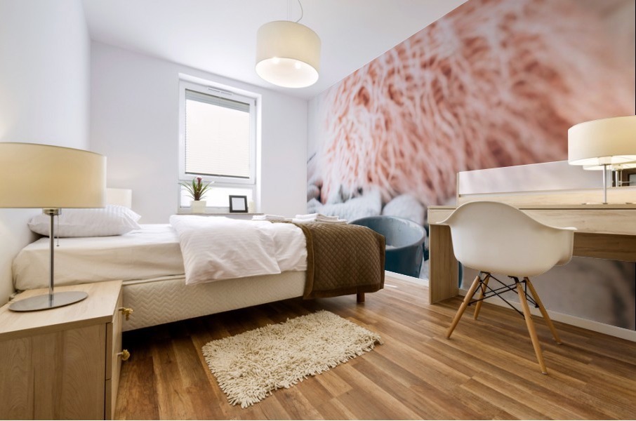 Cozy home Mural print