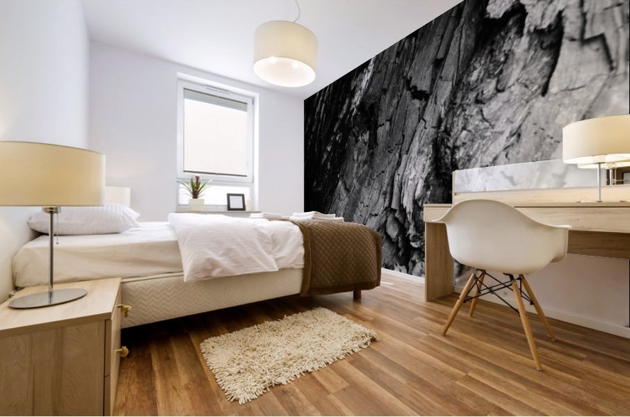 Black timber Mural print