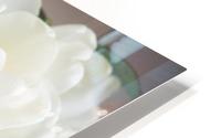 White flowers HD Metal print