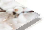 Warm white winter HD Metal print