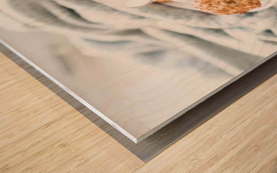 Meal time Wood print