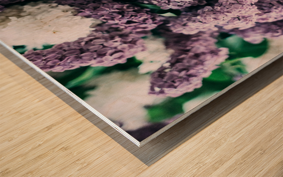 Lilac flowers Wood print