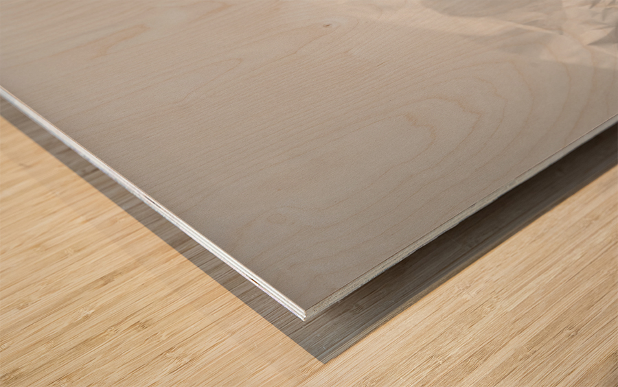 The White Wood print