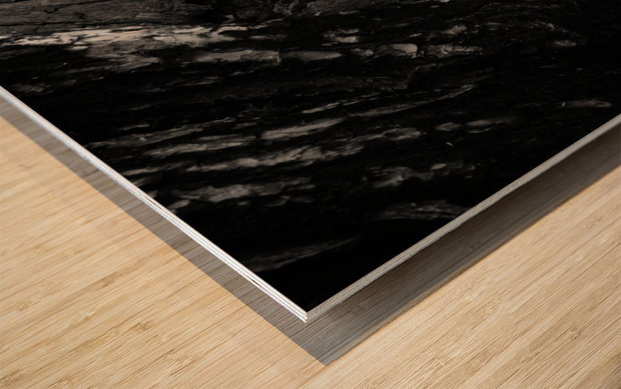 Black timber Wood print