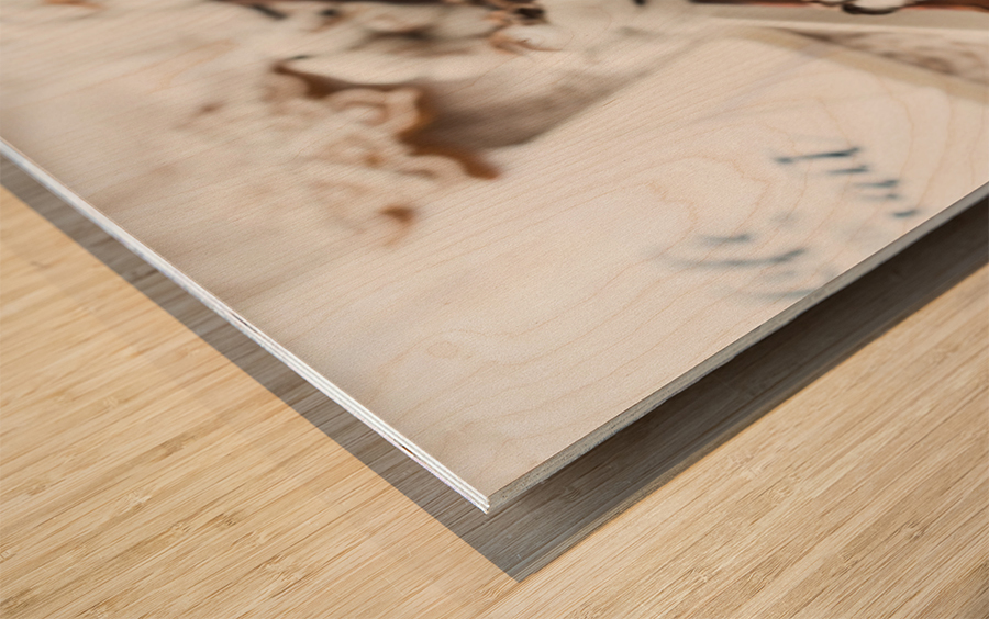 Warm white winter Wood print