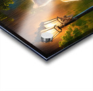 The Nocturnal Violinist Acrylic print