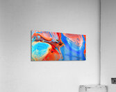 Chromatic Symphony Acrylic Print