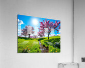 Blossoming Spring Serenity Acrylic Print