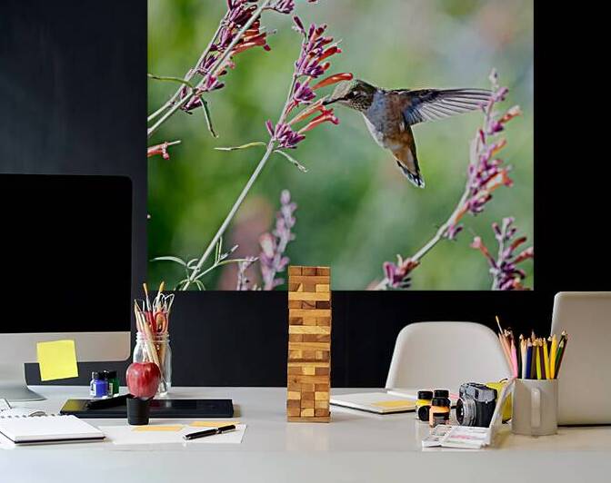 Nectar Harmony: A Birds Floral Symphony by Samo69Photography