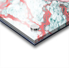 Arrival Acrylic print