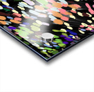 The Wind in the Photo of My Grandmother’s Garden Acrylic print