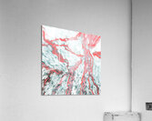 Arrival Acrylic Print