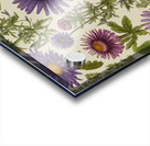 Celebrating Medicinal herbs Acrylic print