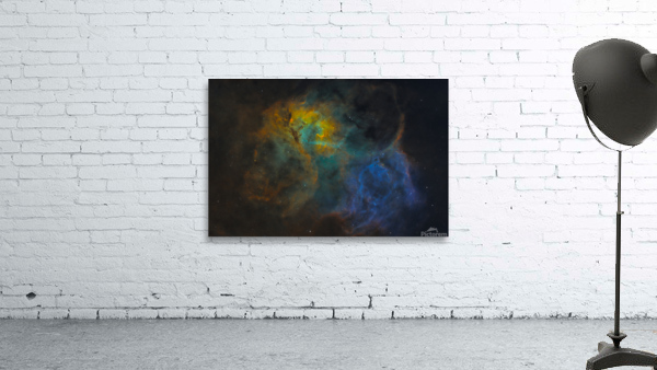 The Lion Wall Preview