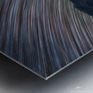 Toroweap Metal print