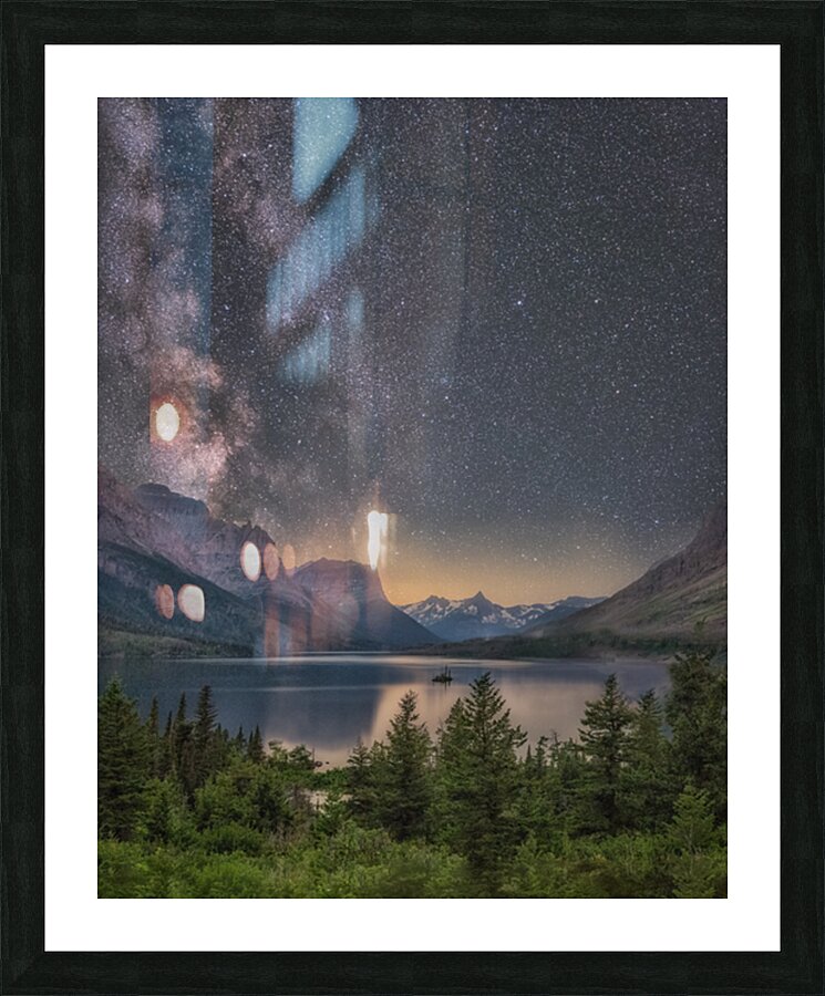 Wild Goose Picture Frame print