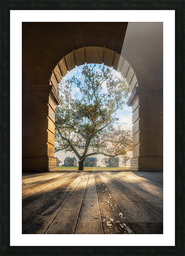 Let the light in Picture Frame print