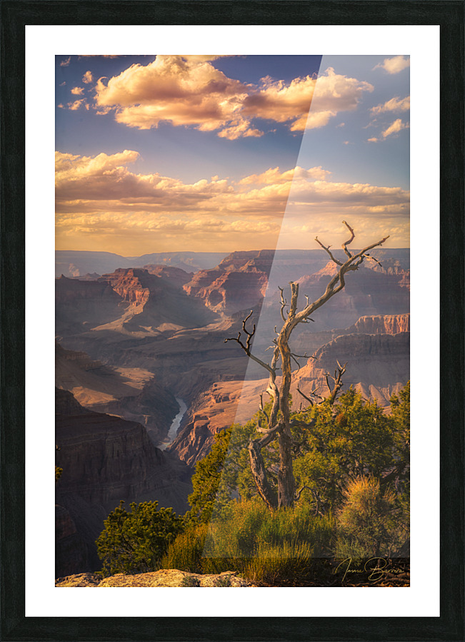 At the Rim Picture Frame print