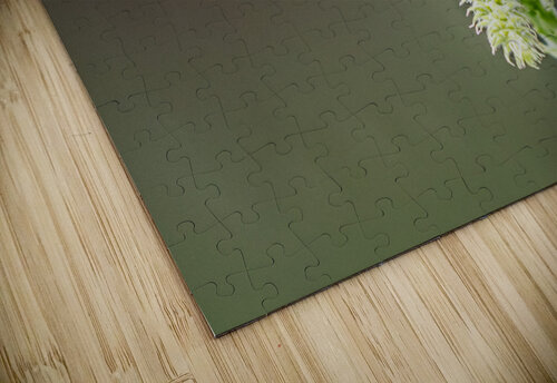 Taking a break from humming Imma Barrera puzzle