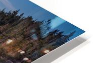 Otter Cliff HD Metal print