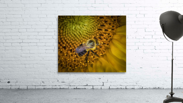 Bumble bee Wall Preview