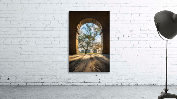 Let the light in Wall Preview