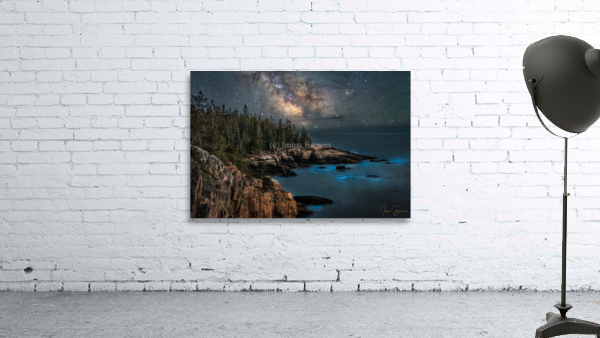 Bioluminescence Wall Preview