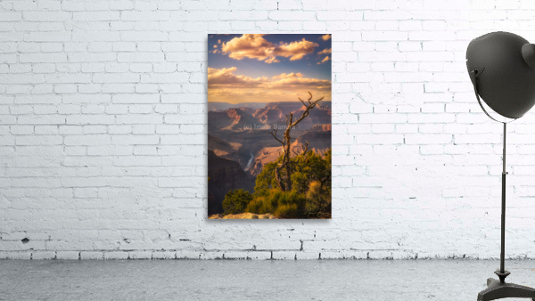 At the Rim Wall Preview