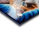 A majestic cat with a mixture of orange and white fur. Her stunning blue eyes are the focal point Acrylic print