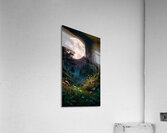A forest filled with vibrant flowers and lush greenery all lit by the soft glow of the moon.  Acrylic Print