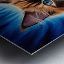 A majestic cat with a mixture of orange and white fur. Her stunning blue eyes are the focal point Metal print