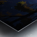 A forest full of vibrant flowers and lush greenery Metal print