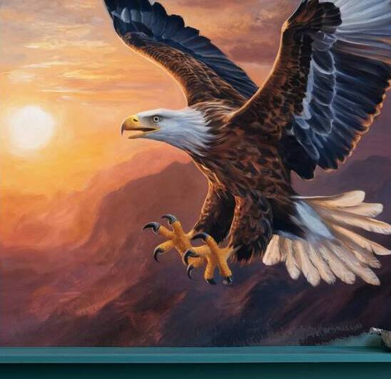 An eagle appears soaring against the backdrop of a stunning sunrise with its majestic wings by Helmy ELganaini