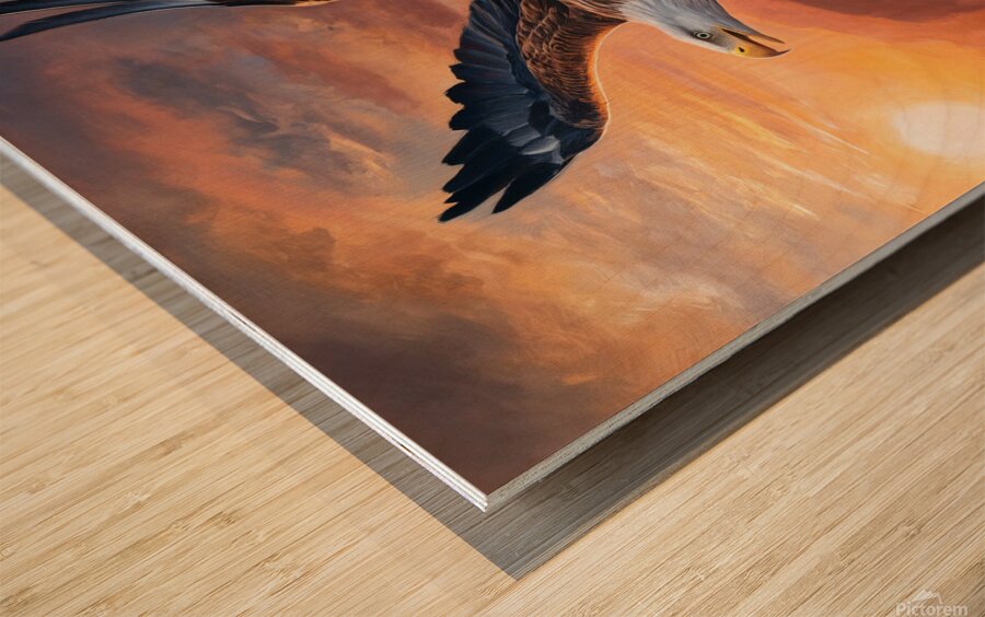 An eagle appears soaring against the backdrop of a stunning sunrise with its majestic wings Wood print