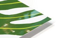Tropical Leaf 14 HD Metal print
