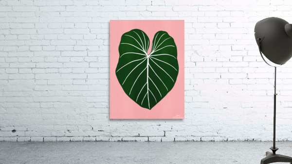 Leaf 01 Wall Preview