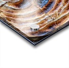 Burek Acrylic print