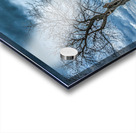Tree under heavy clouds Acrylic print