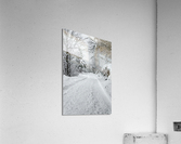 Mountain trail Acrylic Print