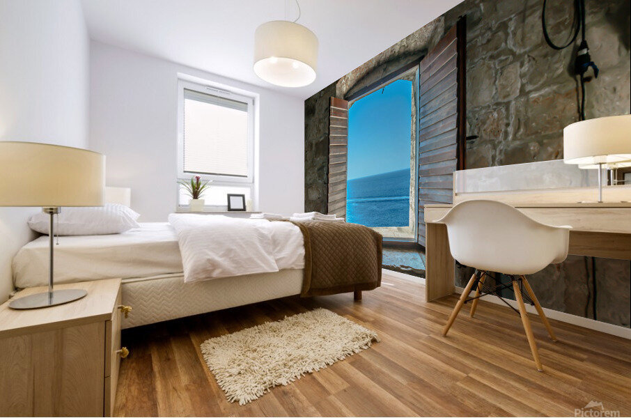 View through open window Mural print