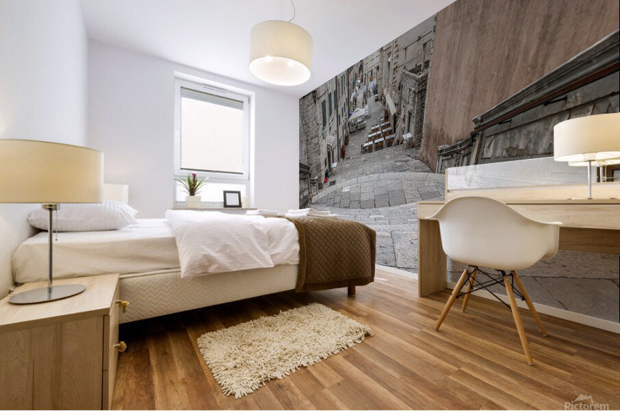 Jesuit Stairs Mural print