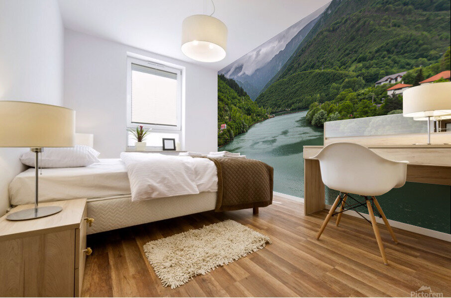 River stream Mural print