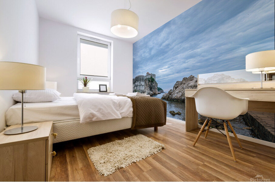 Fort Bokar Mural print